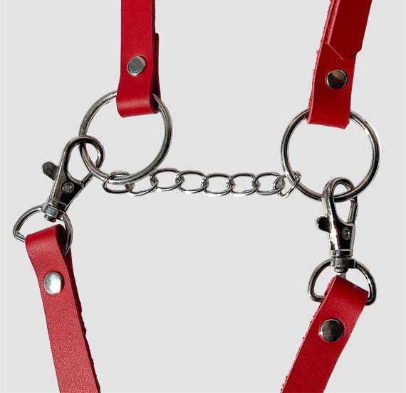 Bride De Dressage Anglaise Cuir Rouge Doublure Molleton Toutes Tailles Neuve