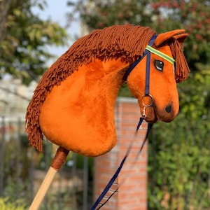 Red Hobby Horse with special reflective bridle. Good present for children and teens