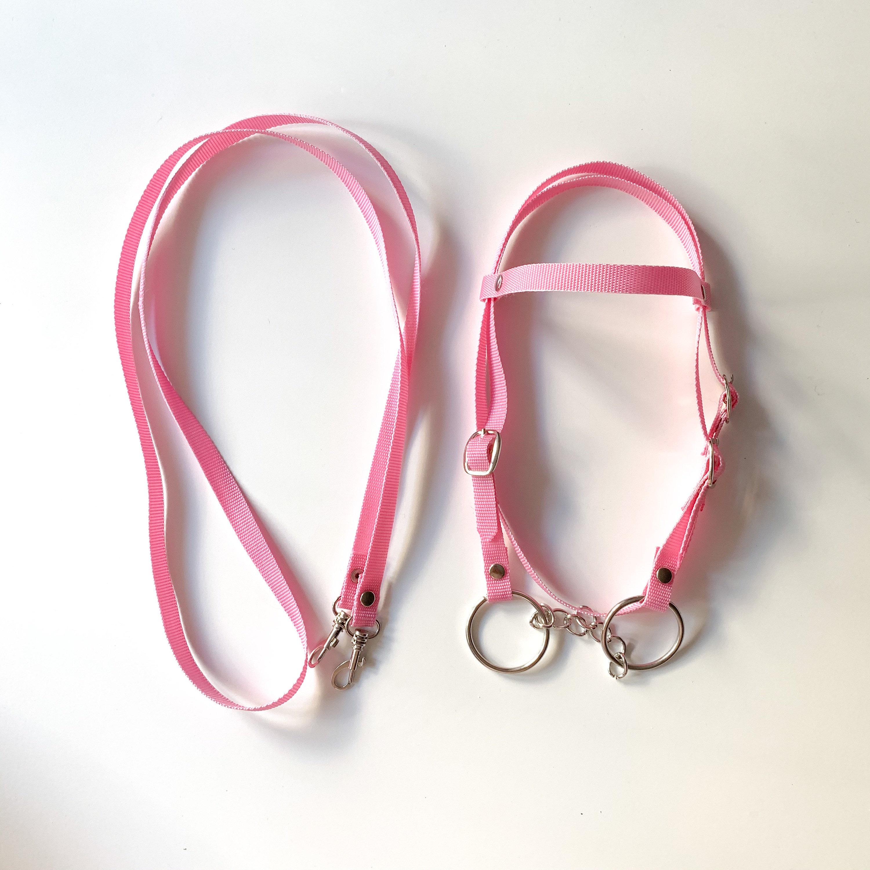 Pink Horse Bridle ubicaciondepersonas.cdmx.gob.mx