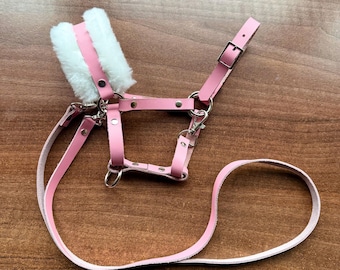 Puede incluir: Arnés de cuero rosa para perro con ribete de piel blanca y una correa a juego.