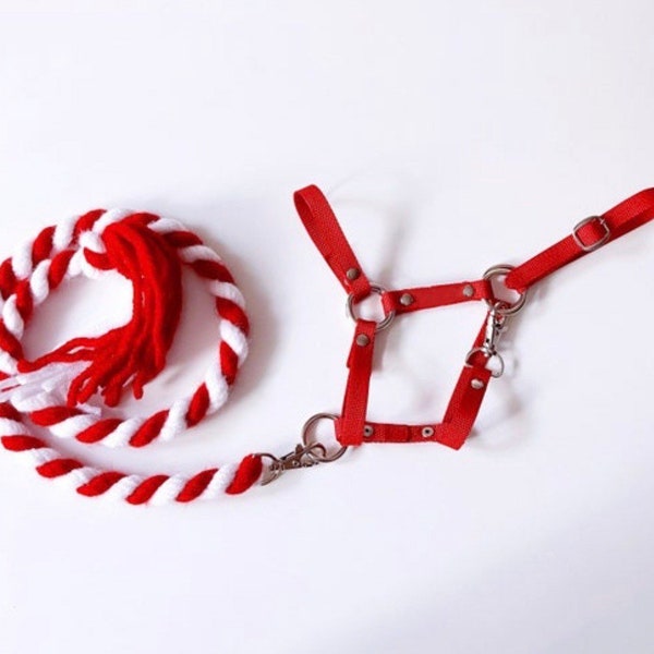 Red and white hobby horse halter with lead rope (for hobbyhorse, stick horse)
