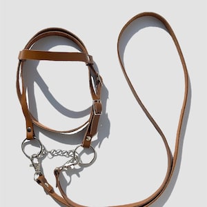 Puede incluir: Una correa de perro de cuero marr&oacute;n con una cadena y dos anillos met&aacute;licos. La correa est&aacute; hecha de dos piezas separadas, una para el collar y otra para el mango.