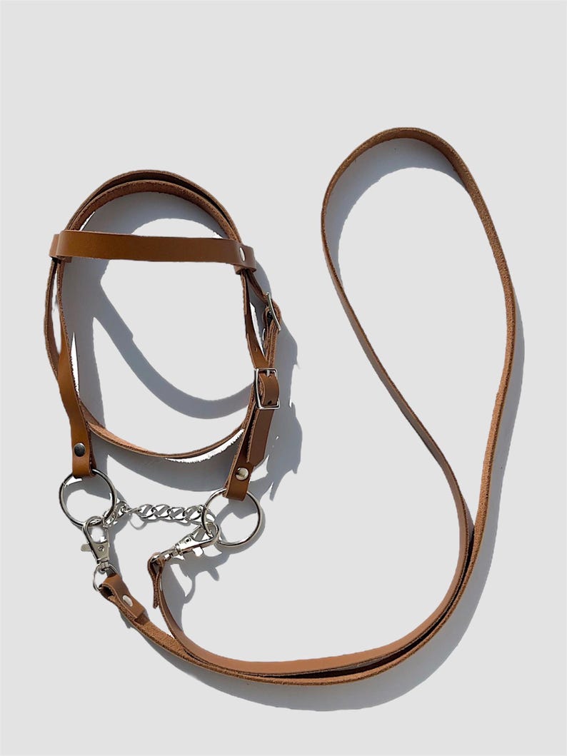 Puede incluir: Una correa de perro de cuero marr&oacute;n con una cadena y dos anillos met&aacute;licos. La correa est&aacute; hecha de dos piezas separadas, una para el collar y otra para el mango.