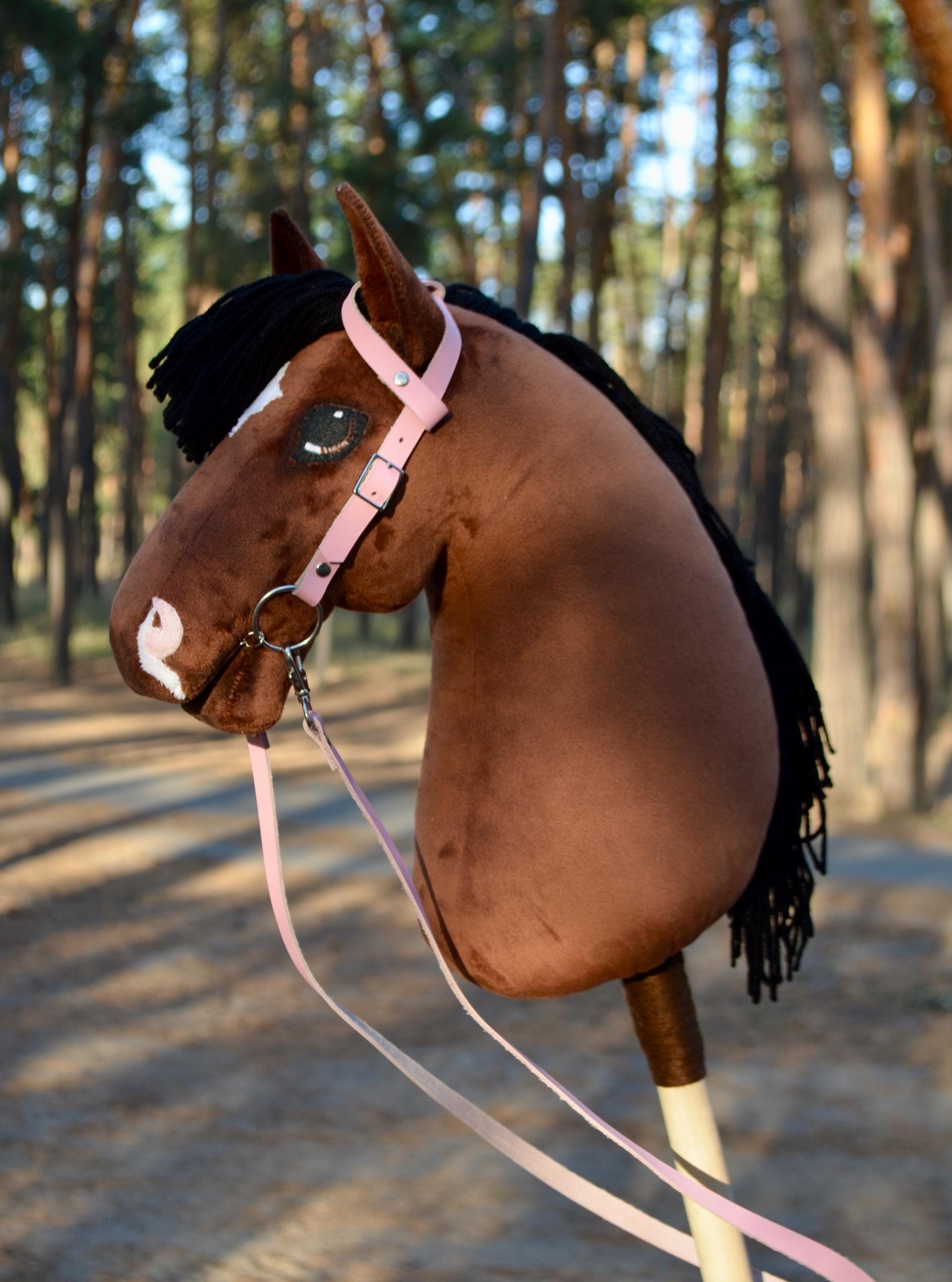 Manteau De Selle Hobby Horse Laine Vert Et Marron – Taille Adulte L – Occasion – États-Unis