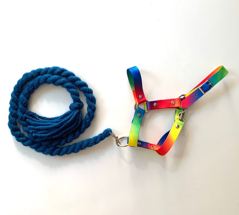 Rainbow Hobby horse halter with lead rope halter for a stick Etsy