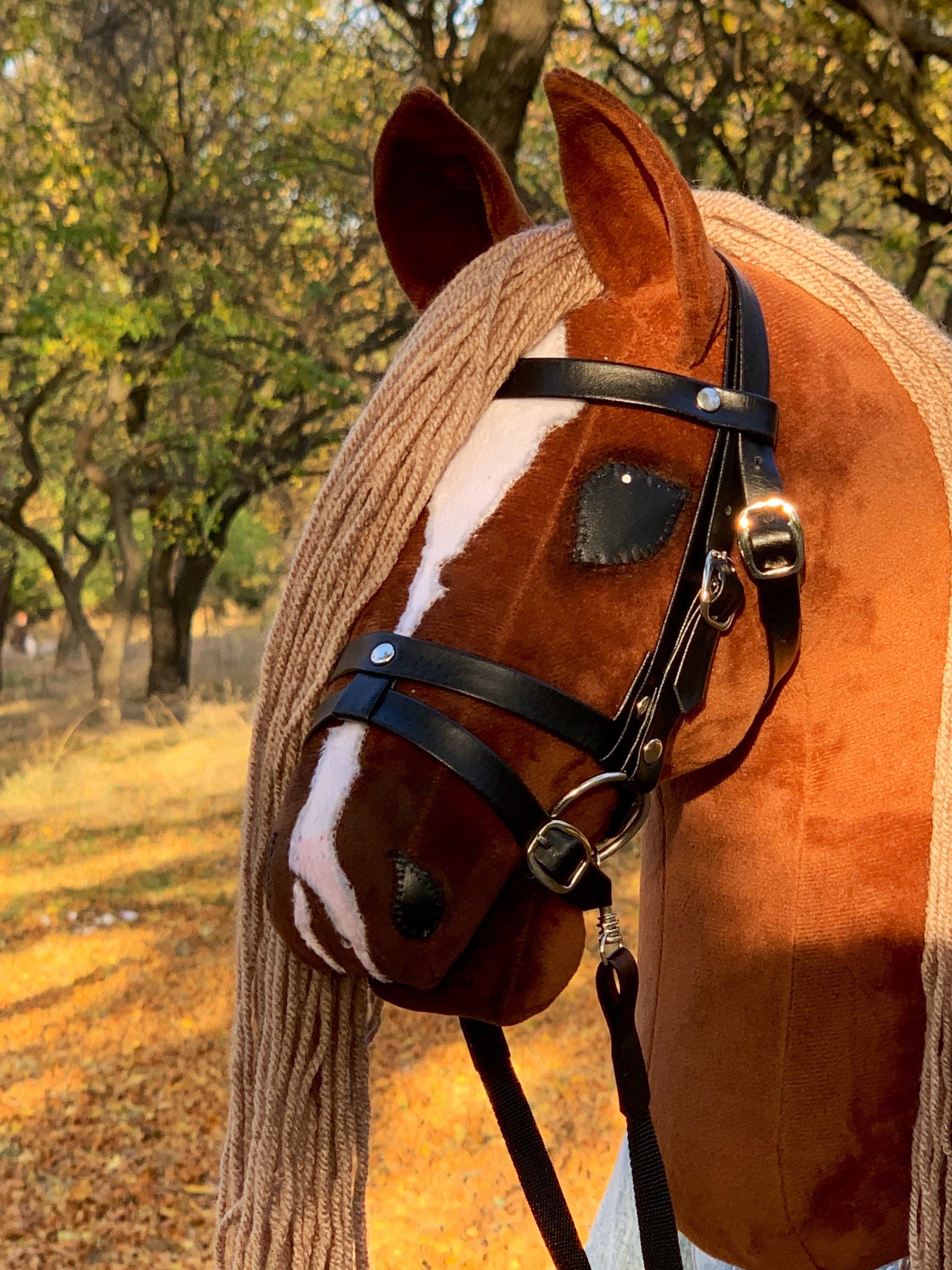 flaxen chestnut pony