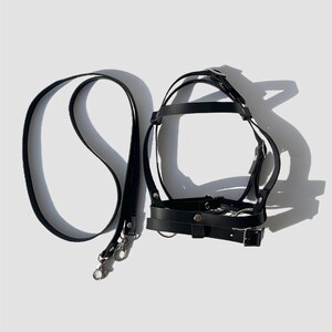 May include: Black leather harness with a matching leash. The harness has multiple straps and buckles, and the leash has a silver clip.