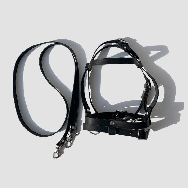 May include: Black leather harness with a matching leash. The harness has multiple straps and buckles, and the leash has a silver clip.