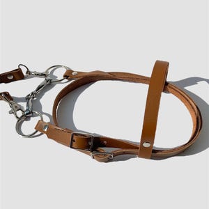 Puede incluir: Un arn&eacute;s de cuero marr&oacute;n para perro con herrajes de metal plateado, que incluyen una hebilla, dos anillos y un clip.