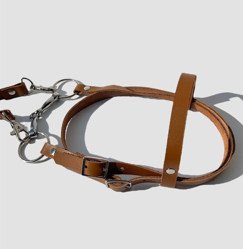 Puede incluir: Un arn&eacute;s de cuero marr&oacute;n para perro con herrajes de metal plateado, que incluyen una hebilla, dos anillos y un clip.