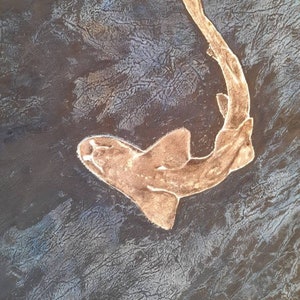 original gyotaku - fish print - shark