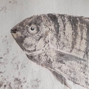 original gyotaku - white seabream / sargo