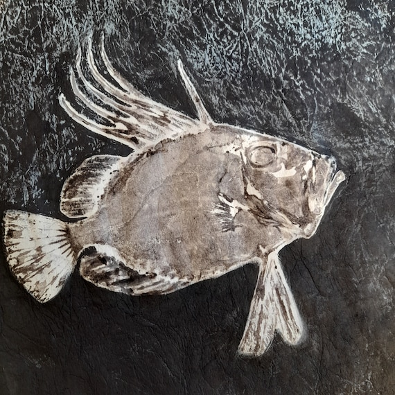 Original Gyotaku With Sepia Ink John Dori 