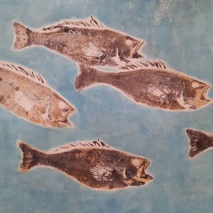 original gyotaku - fish print - Combers