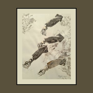 gyotaku original - impresión de pescado - calamares y algas marinas