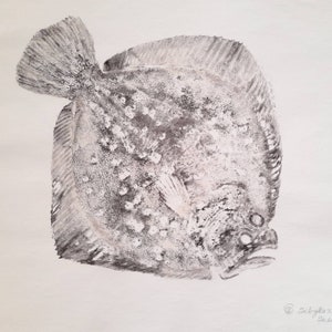 original gyotaku - fish print with sepia paint - turbot