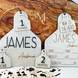 Cow Ear Tag Monthly Milestone Markers, ONE Month To ONE Year Baby Milestone Cow Tag, Cow Nursery Theme, Cow Tag Birth Stat Sign.