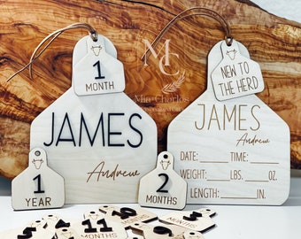 Cow Ear Tag Monthly Milestone Markers, ONE Month To ONE Year Baby Milestone Cow Tag, Cow Nursery Theme, Cow Tag Birth Stat Sign.