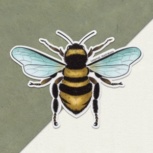 Bee Vinyl Sticker | Waterproof Sticker, Dishwasher Safe, Bee Lover, Bumble Bee, Laptop Stickers, Bee Keeper Gift, Nature Lover