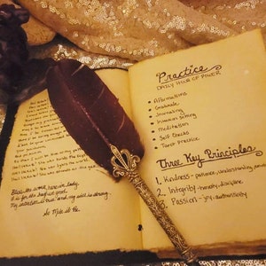 May include: An open journal with handwritten text and a decorative feather quill. The journal pages are aged, with the words "Practice" and "Three Key Principles" visible. The quill has a burgundy feather and ornate gold-colored metalwork.