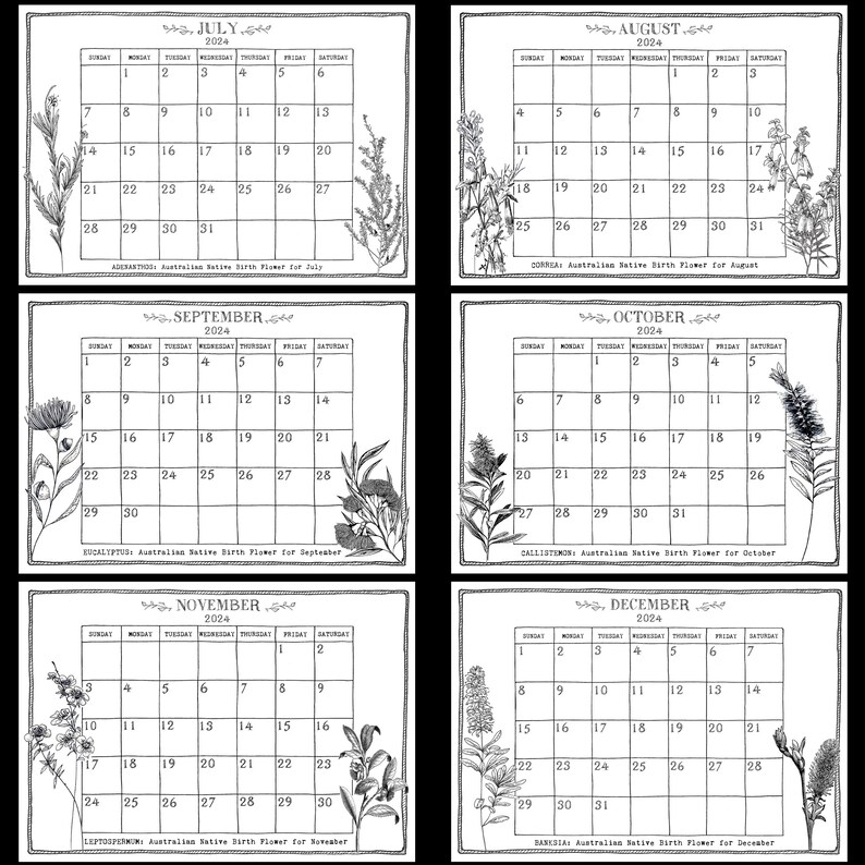 A4 or A5 2024 Australian Native Birth Flowers Calendar With Optional