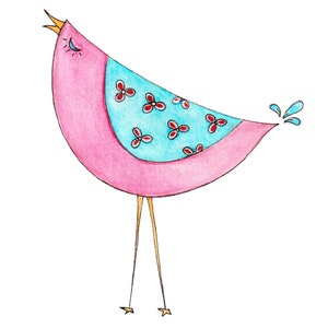 May include: A pink bird with a blue and red patterned belly, singing with its mouth open and a water drop coming out of its tail.