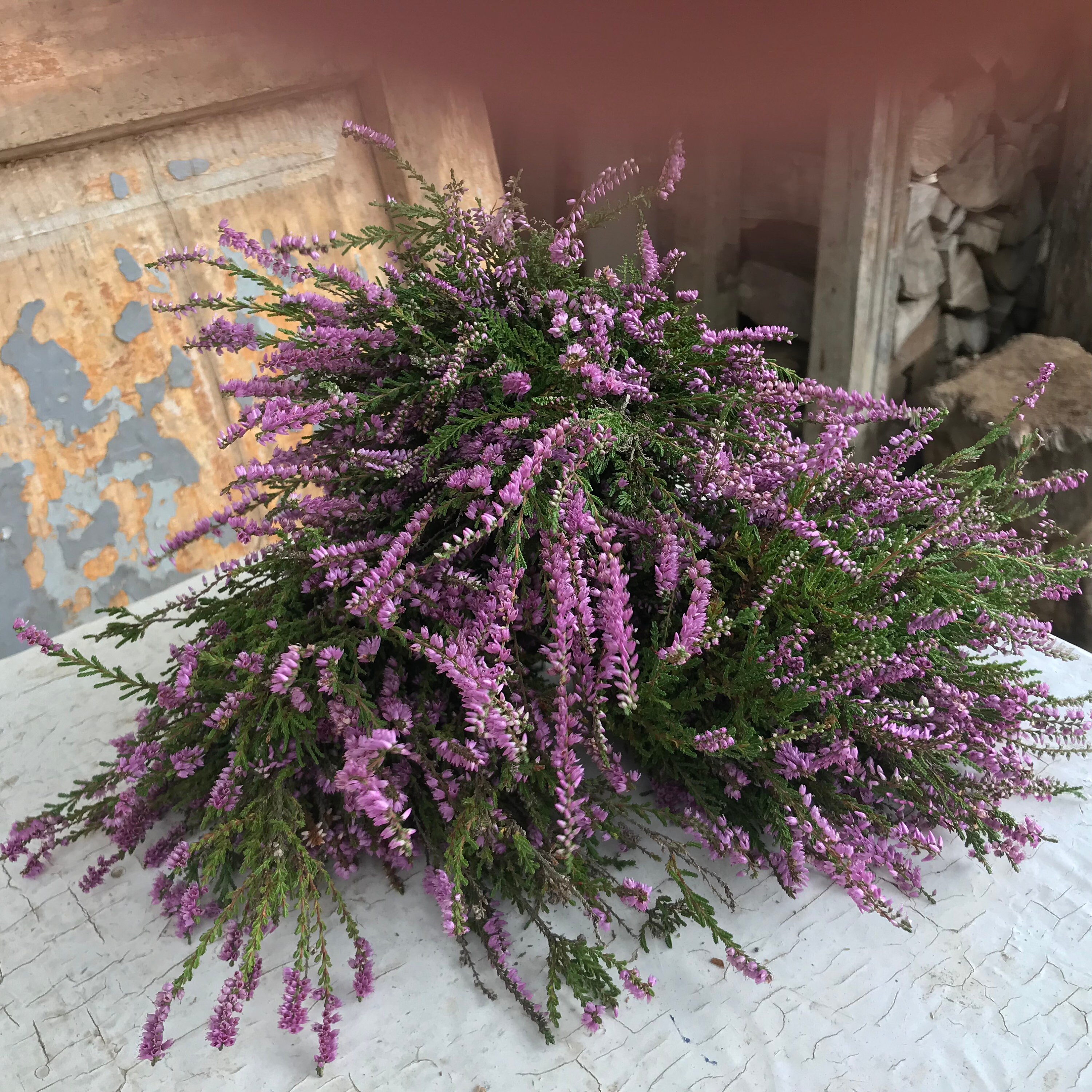 SET 3 Bouquet of Heather, Dried Purple Flowers, Bouquet of Purple