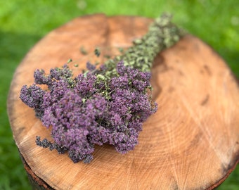 Gedroogde oregano, paarse gedroogde bloemen, kruidenbanch, gedroogde bos, gedroogde bloemenbanch, trouwbos, natuurlijke bloemen, organische oregano.