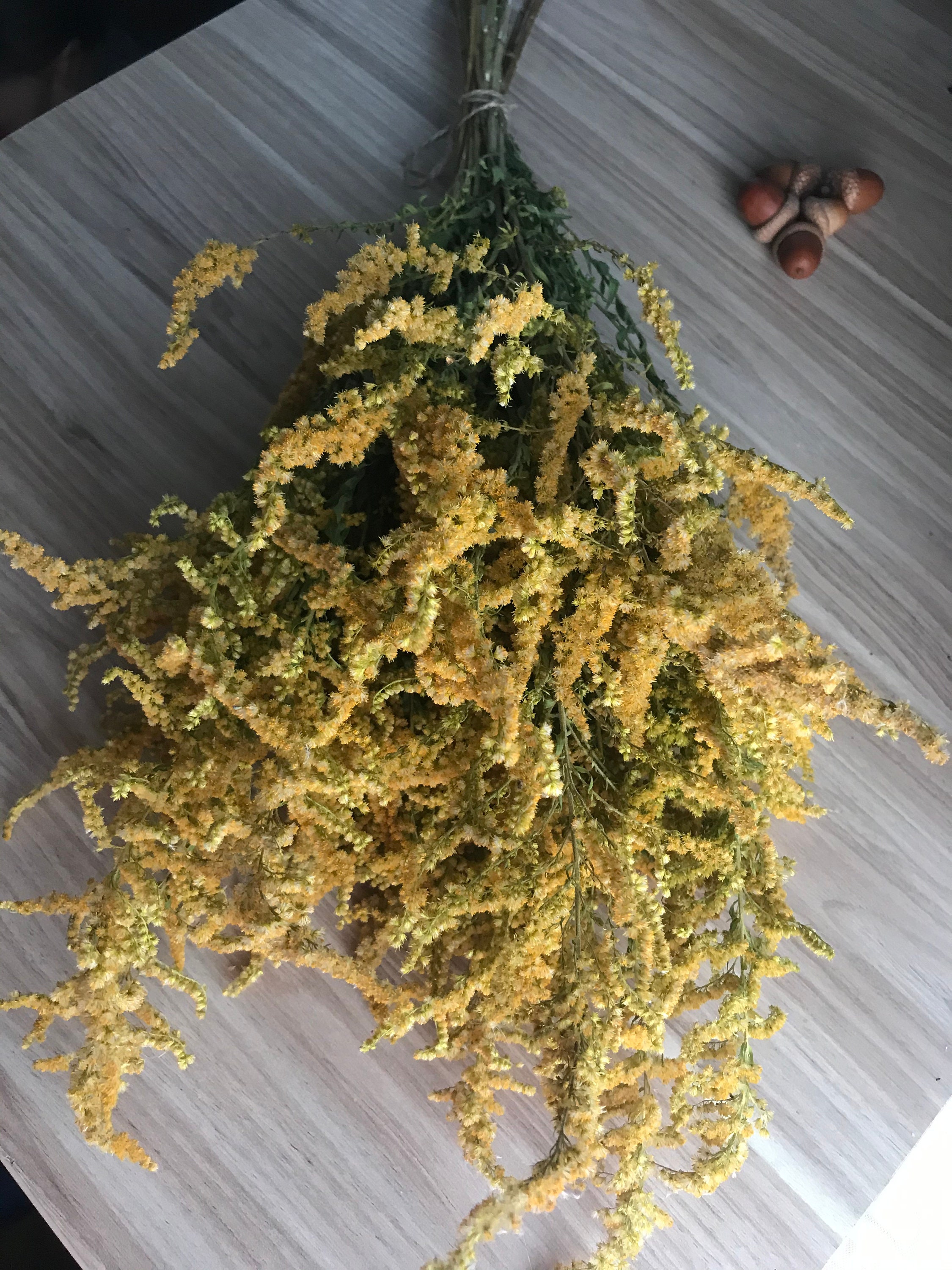 Canadian Goldenrod, Yellow Flowers, Nice Decor for Kitchen, Dried