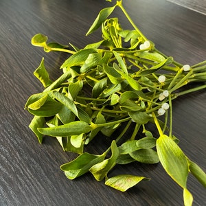 Christmas Mistletoe Bunch, Kissing Decor, Wedding, Valentine's Day.
