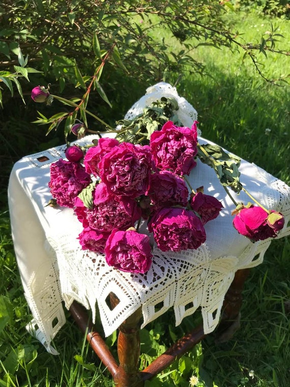 2025 Dried paeonia, Medium pink peony, flowers, home decor, rustic decor, wedding