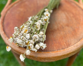 Kamillenweiß, schöne Blumen, weiße Hochzeit, Naturprodukte, rustikale Hochzeit, Landhochzeit.