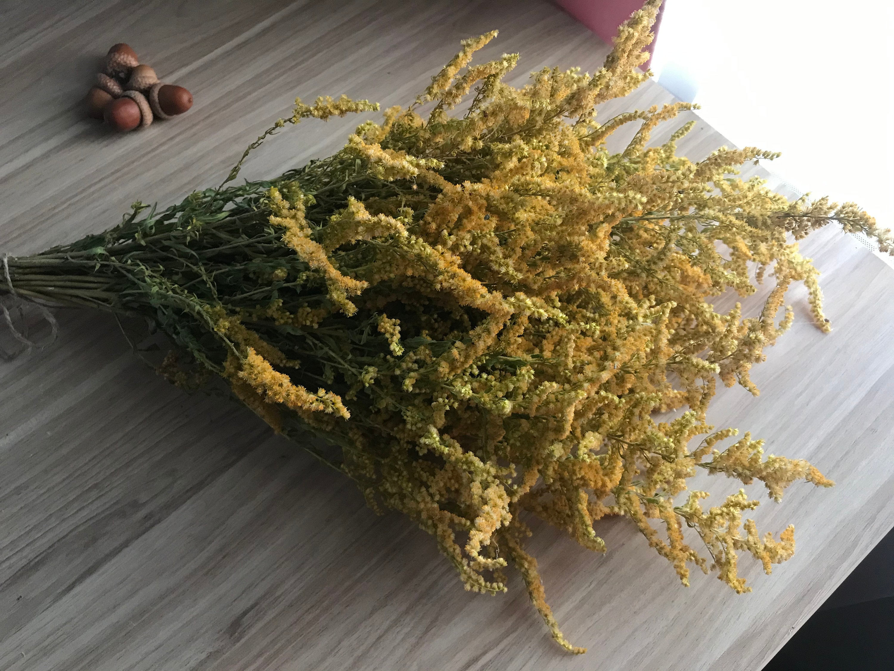 Canadian Goldenrod, Yellow Flowers, Nice Decor for Kitchen, Dried