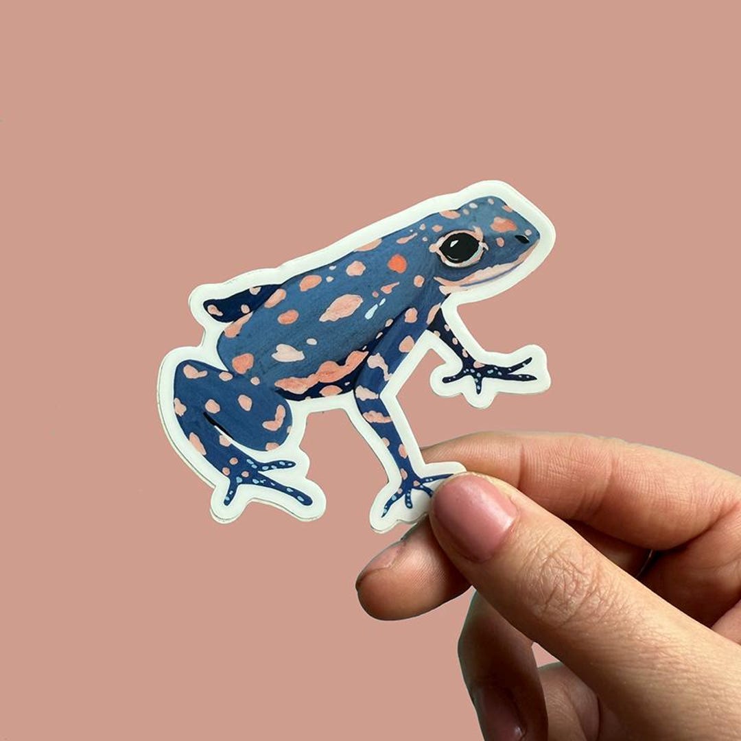 Blue Frog Vinyl Sticker – Waterproof Matte Nature Decal - Etsy