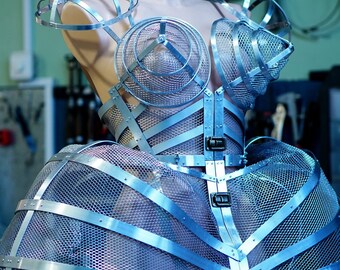 Aluminum metal Dress | Cage dress | BDSM Dress