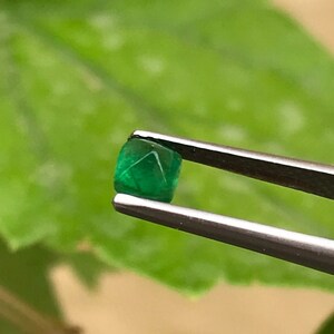 May include: A vibrant green emerald gemstone held by tweezers against a backdrop of green leaves.