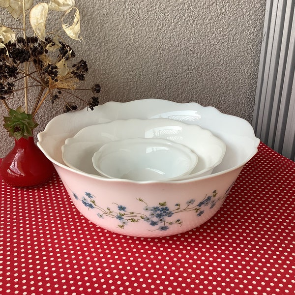 Ensaladeras ARCOPAL Myosotis para el almuerzo - ARCOPAL Veronica - vaso opalino