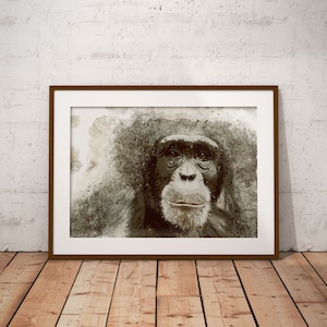Affe Schöner Aquarell Druck