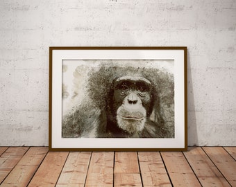 Monkey Beautiful Watercolour Print