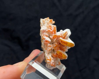 Exceptional orange Wulfenite sugarcoated with white Calcite on Matrix from Ahmad Abad mine