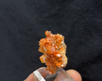 Lovely orange Wulfenite cluster on Matrix from Ahman Abad mine