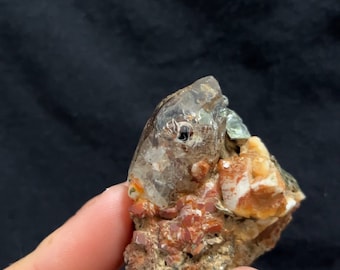 Rare and attractive Biotite Mica inclusion in Quartz on a Matrix that has Rich Hematite covered Quartz and green Mica from Ganesh Himal