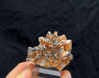 Top-notch Wulfenite cluster coated in white Calcite covered in Manganese from Ahmad Abad mine