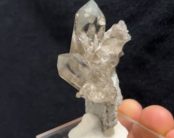 Magnificent light Smoky Quartz cluster with a Chlorite dusting on Matrix from Tiefen Glacier