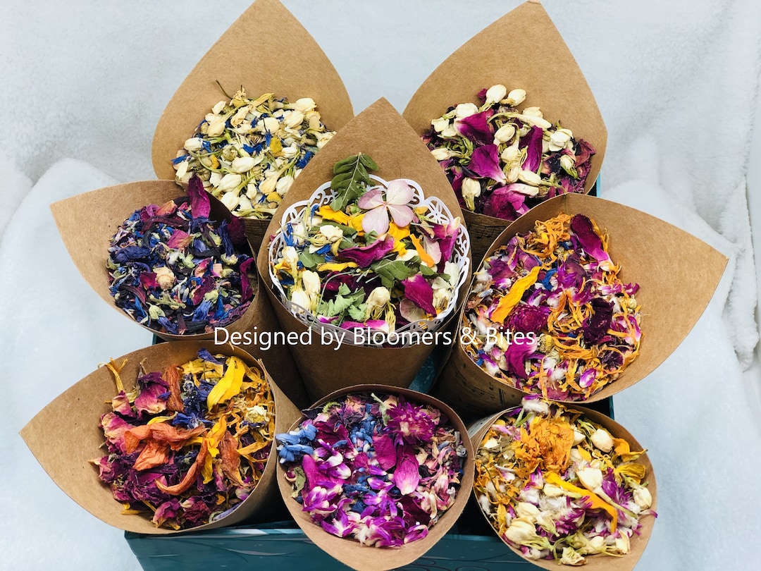 144 Pieces Dried Pressed Flowers Natural Dried Flowers Colorful