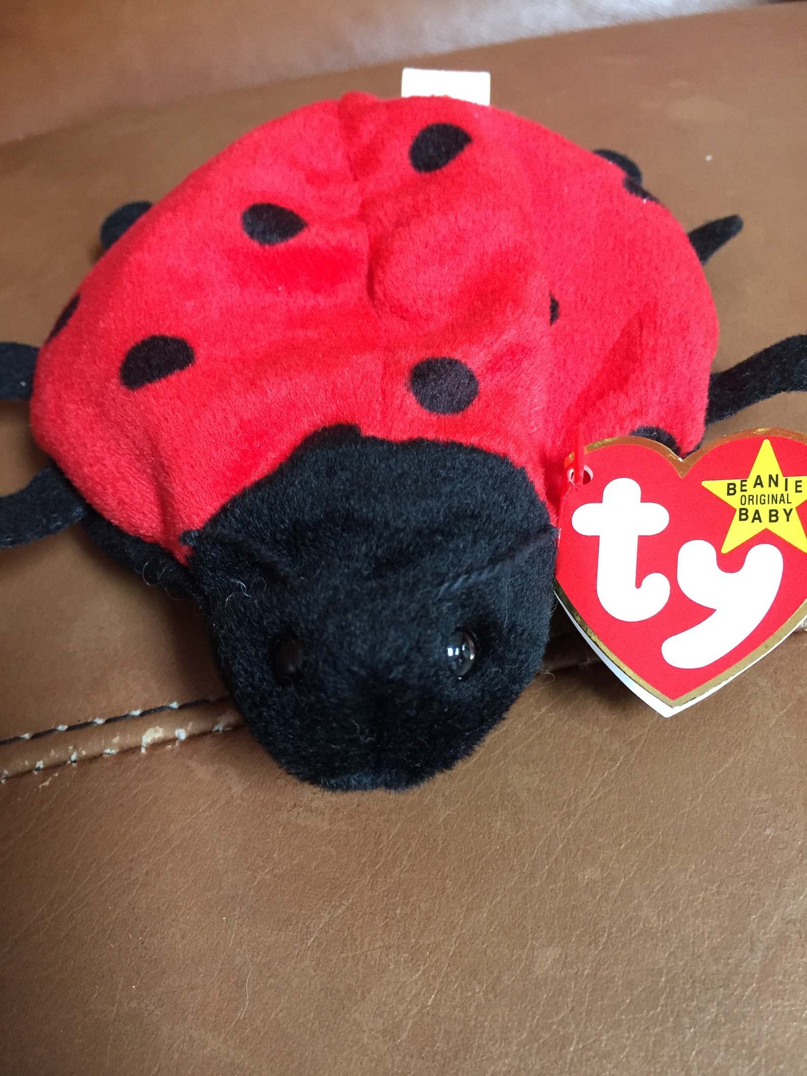 Lucky Rare Beanie Baby Ladybug Etsy