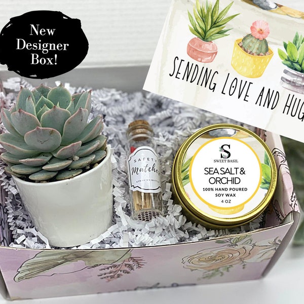 Thinking of You - Succulent Gift Box - Missing You - Friendship Gift Box - Care Package - Thinking of You Gift -FREE SHIPPING
