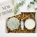 House Warming Gifts, New Home Gift, New Home Card, Happy New Home, Home Sweet Home, Succulent Gift Box, Care PackageFREE SHIPPING