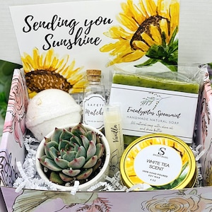 Penser à vous - Coffret cadeau succulent - Vous me manquez - Coffret cadeau amitié - Forfait soins - Cadeau penser à vous - LIVRAISON GRATUITE