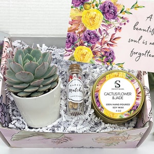 Condolence Gift Box - Succulent Gift box - Care Package - Death of Mom, Parent, Condolences, Mourning, Grieving, Passing, Sympathy Gift